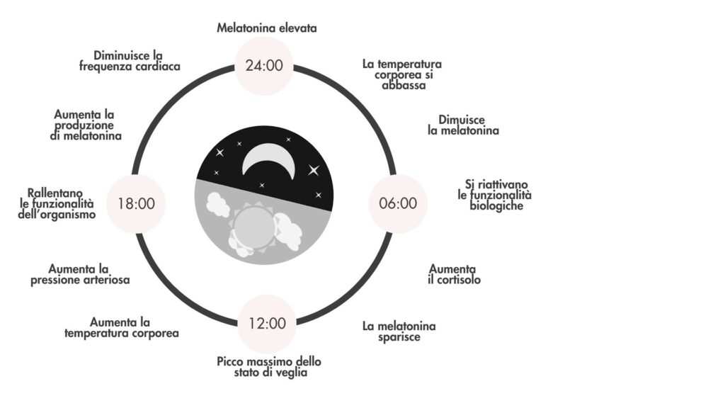 I ritmi del tuo orologio interno