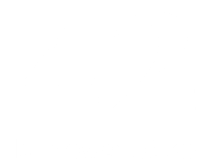 42 la newsletter logo bianco